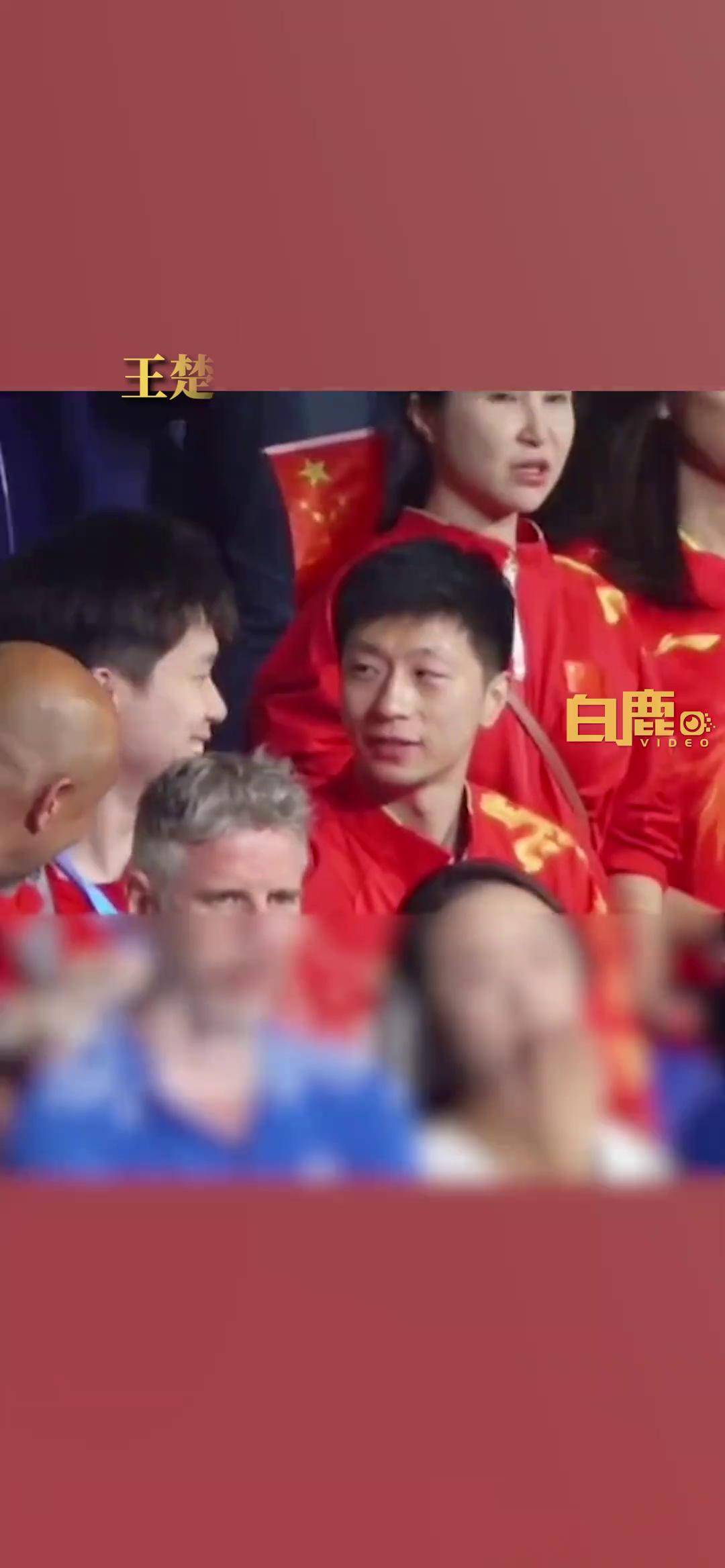开云体育入口-关于法国乒乓球队险胜韩国乒乓球队，马龙统治全场的信息