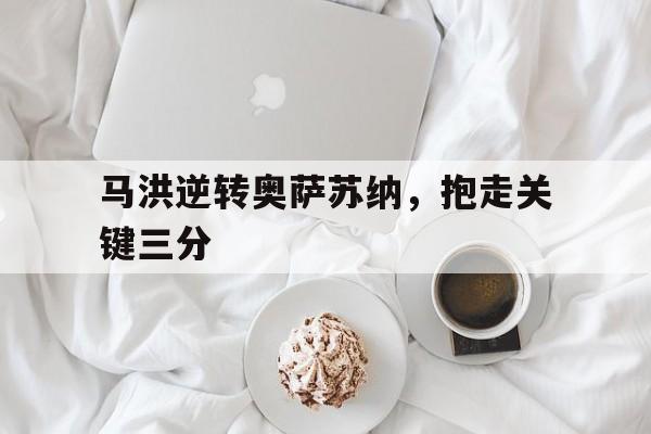 开云官方app入口-马洪逆转奥萨苏纳，抱走关键三分的简单介绍
