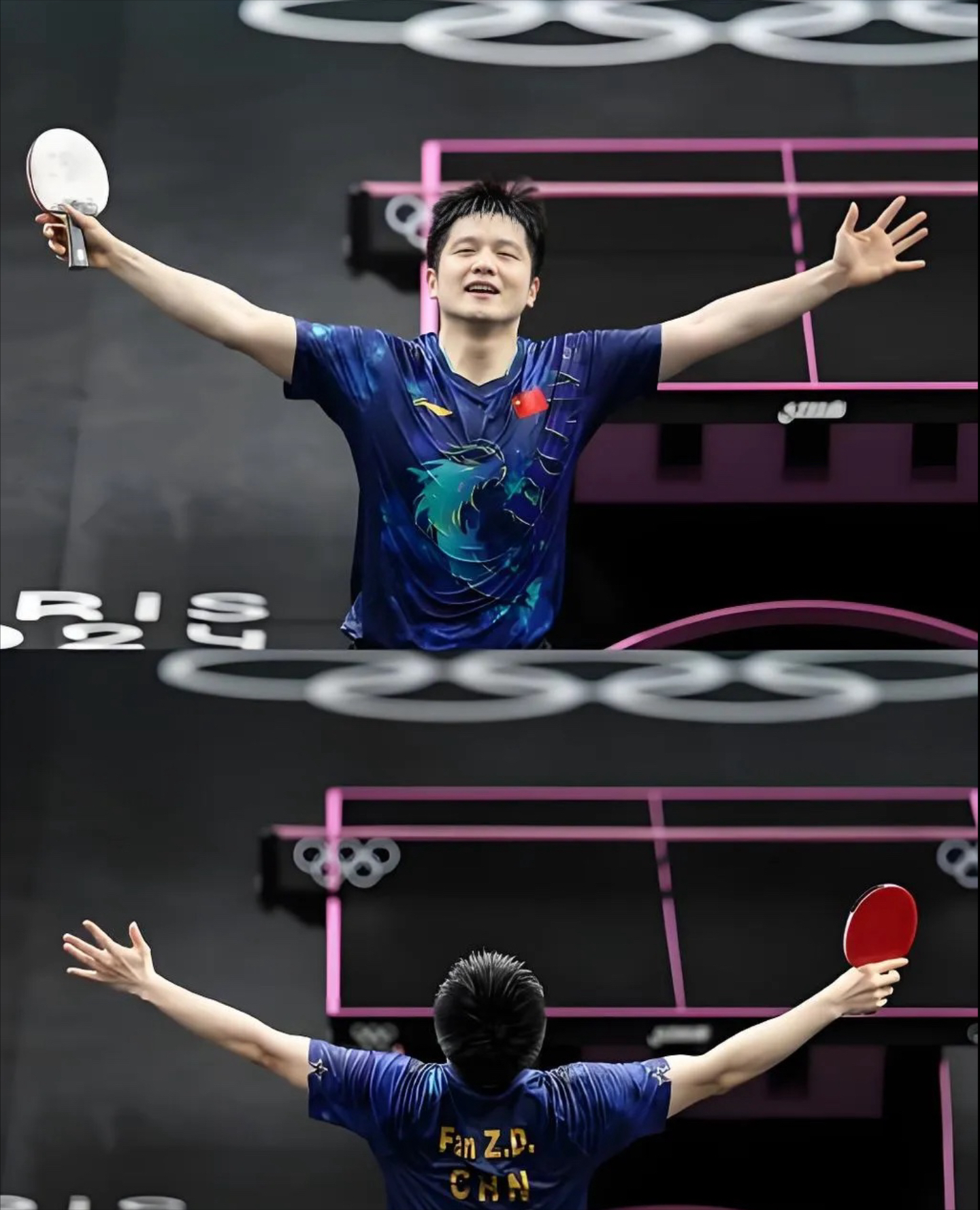 开云体育官网-关于奥地利队轻取波兰队，樊振东高光表现的信息