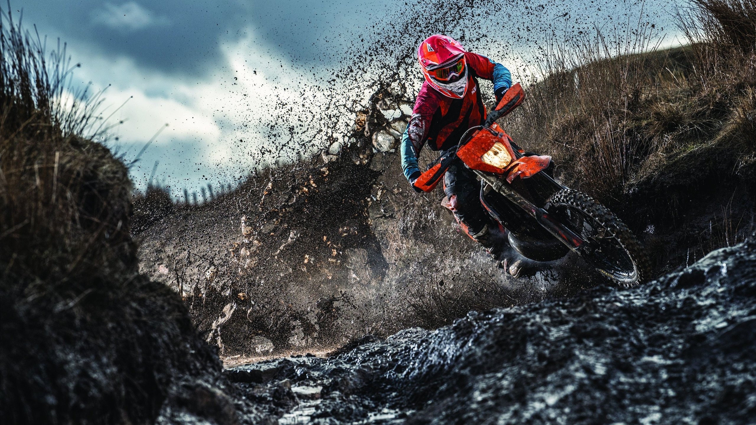 开云体育下载-篮网式压制与詹姆斯式接管，跨越项目的胜利法则