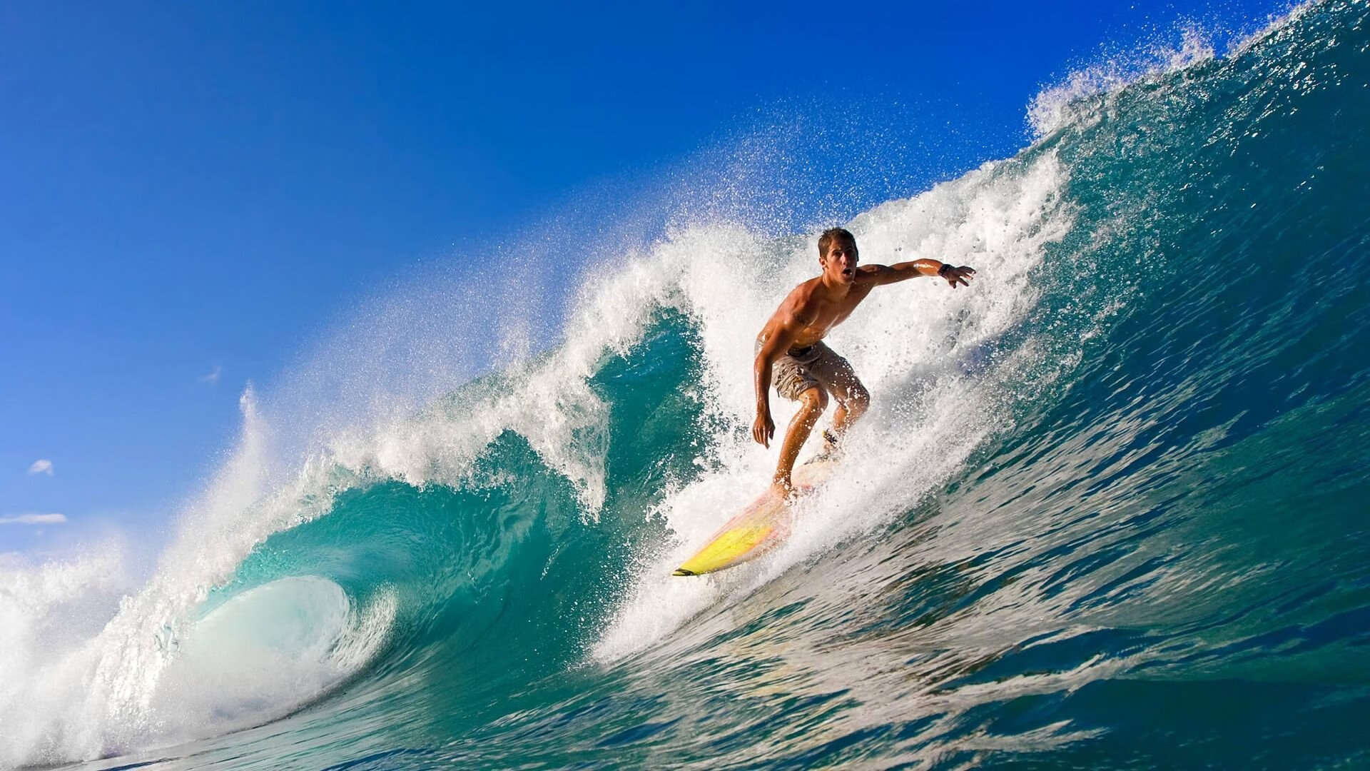 开云体育直播-猛龙粉碎火箭，西亚卡姆成为关键先生，诠释北境新王之道