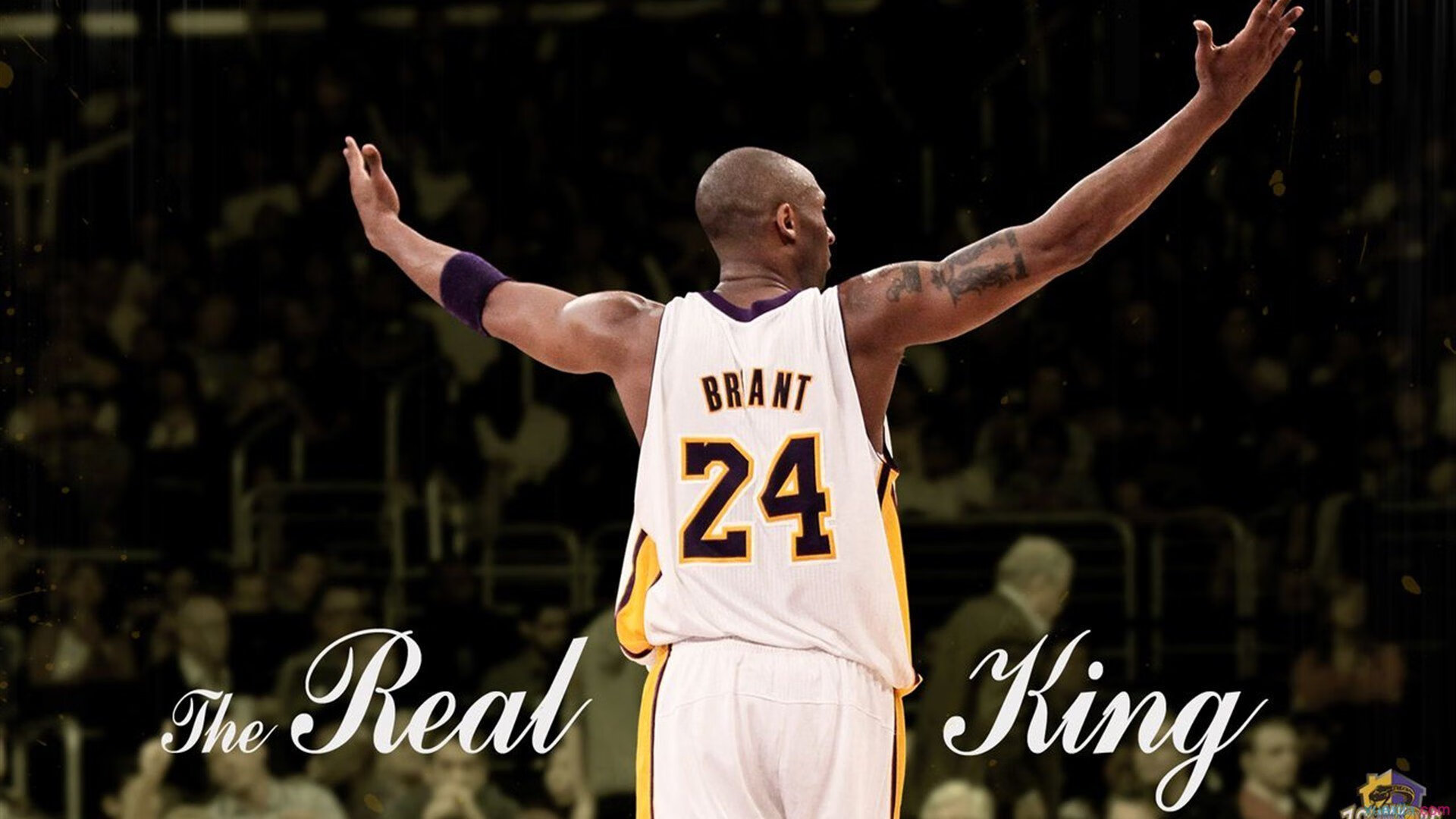 狼王咆哮撕裂洛城，拉文50分统治级演出，森林狼血战加时险胜湖人